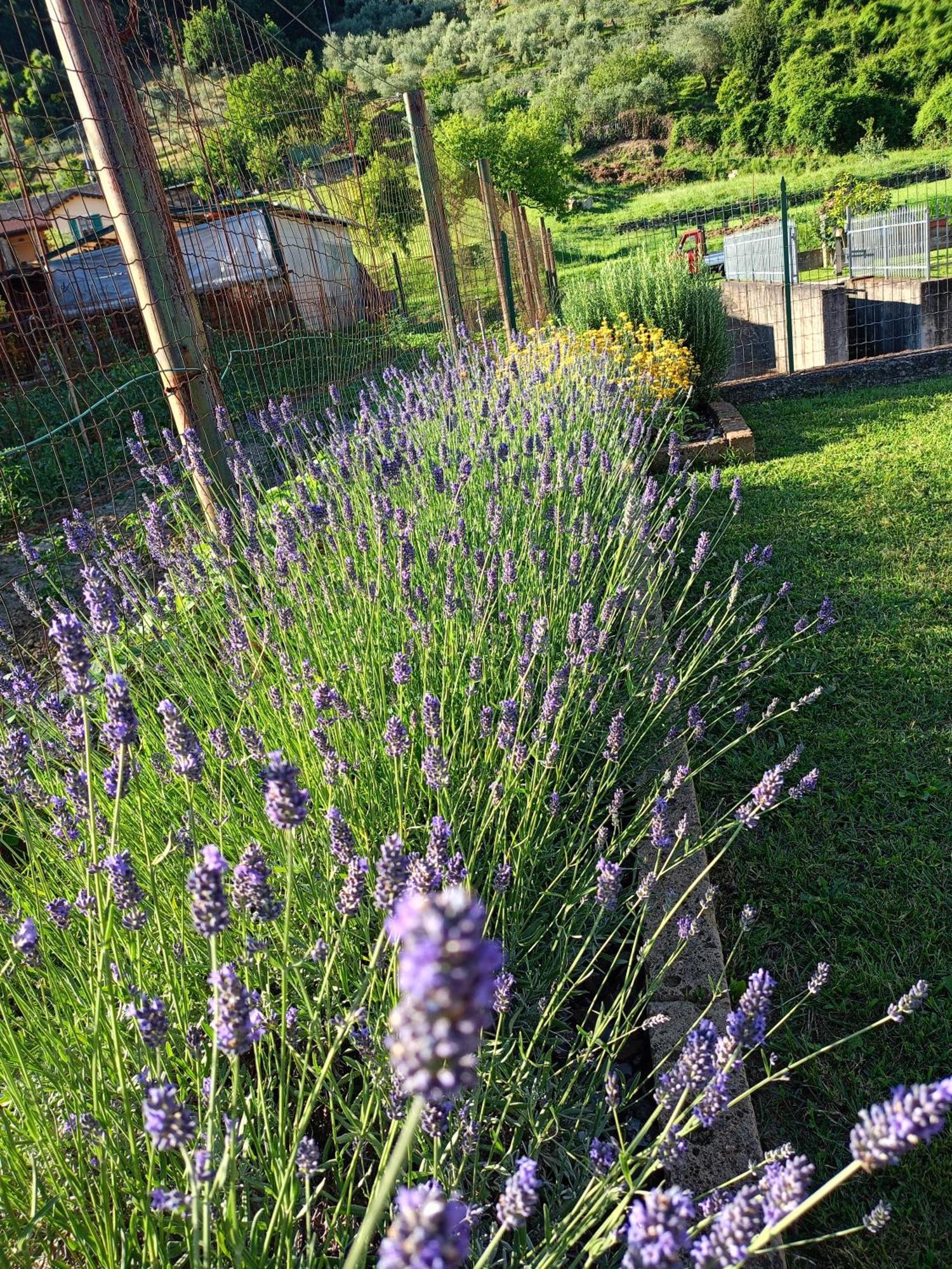 Casa Vacanze La Cicala Pontremoli Exteriér fotografie